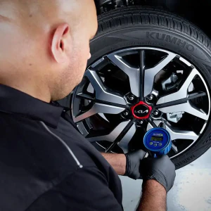 Kia Electric Vehicle Maintenance in Stratford, ON