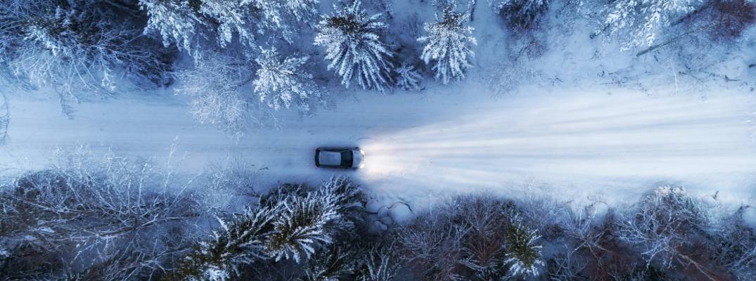 Vehicle driving through snow-covered forest.